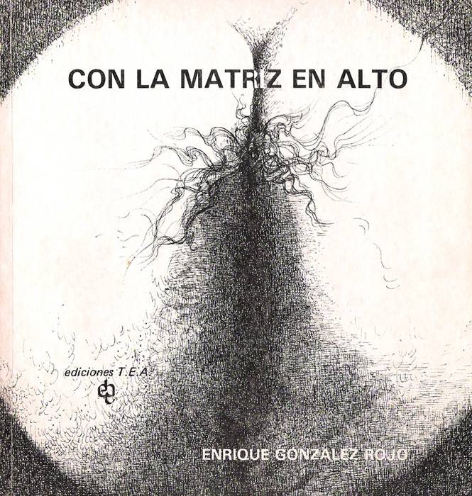 Obra Leticia Ocharán